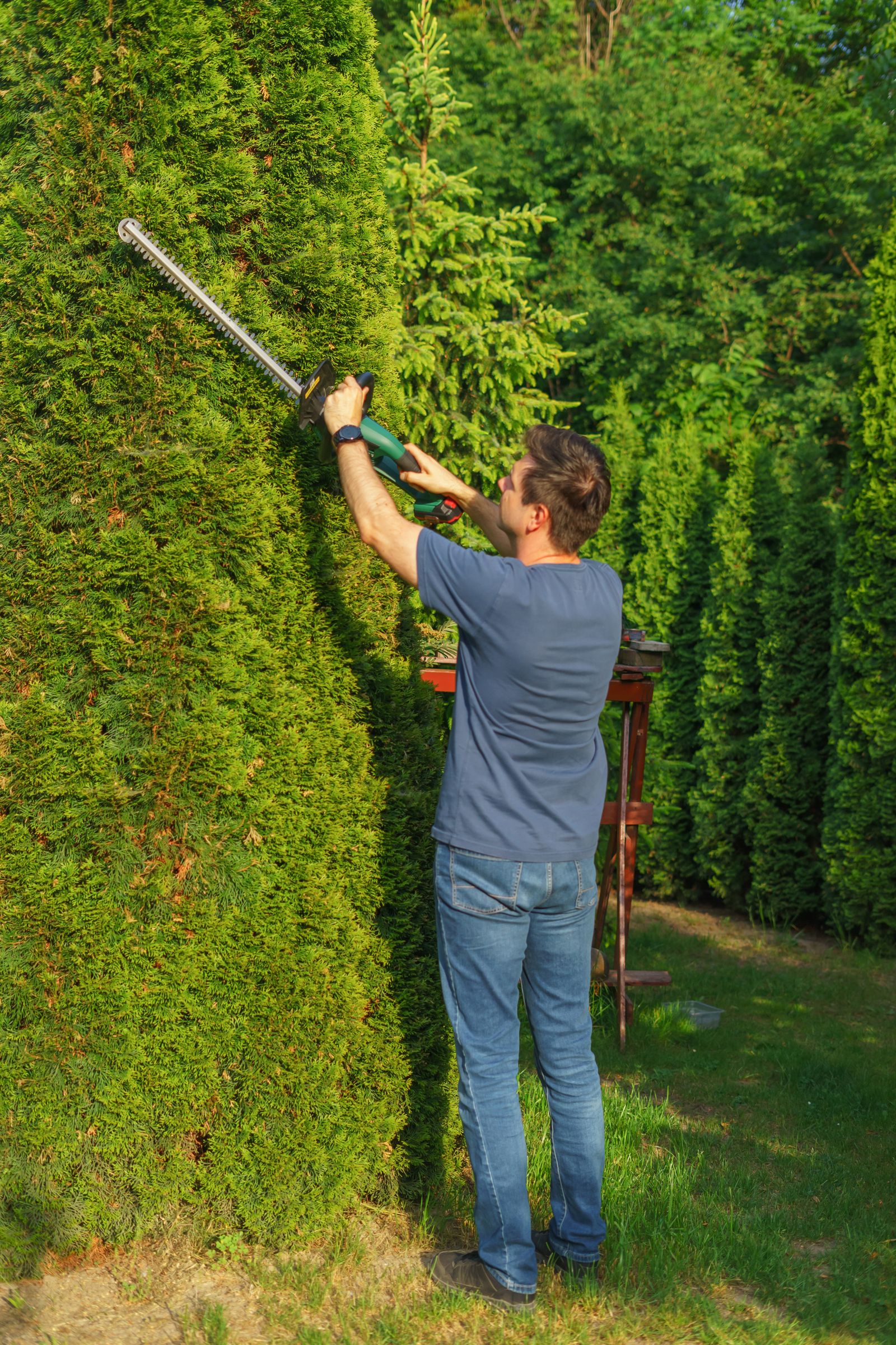 Landscaper trimming a hedge